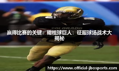 jbo竞博体育官网